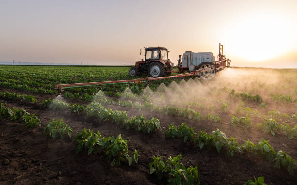 Best Pest Removal Services  in Dayton, NV