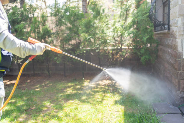 Insect Control in Dayton, NV