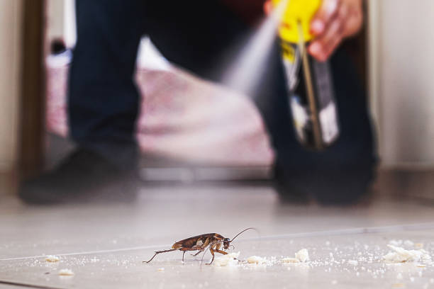 Pest Control Cost in Dayton, NV