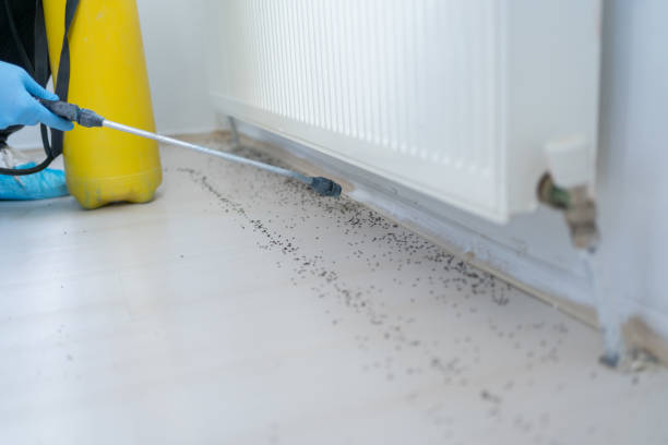 Best Best Pest Control Companies  in Dayton, NV